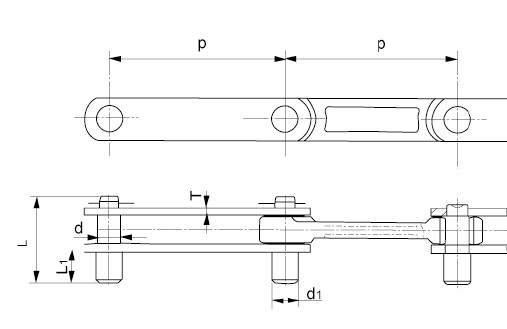 Leaf Conveyor Chain